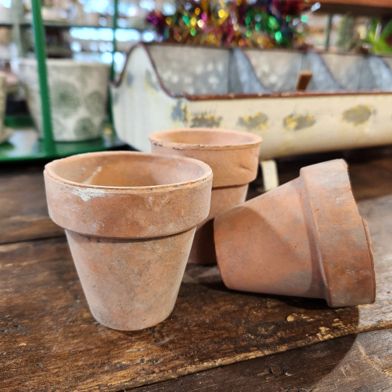 Mini Terracotta Pot