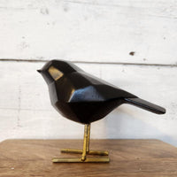 Modern Black Bird back