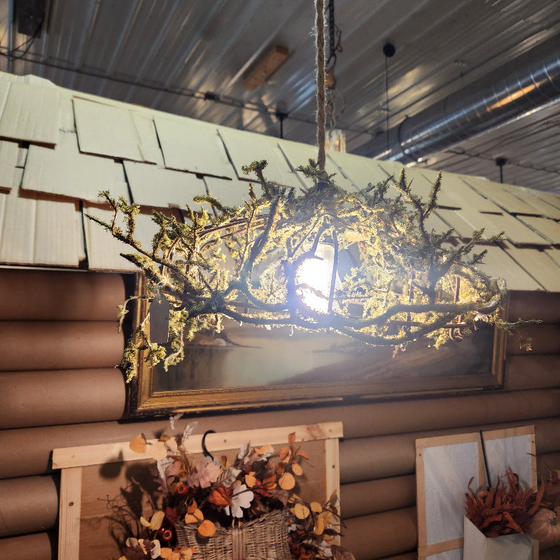 Moss Hanging Light