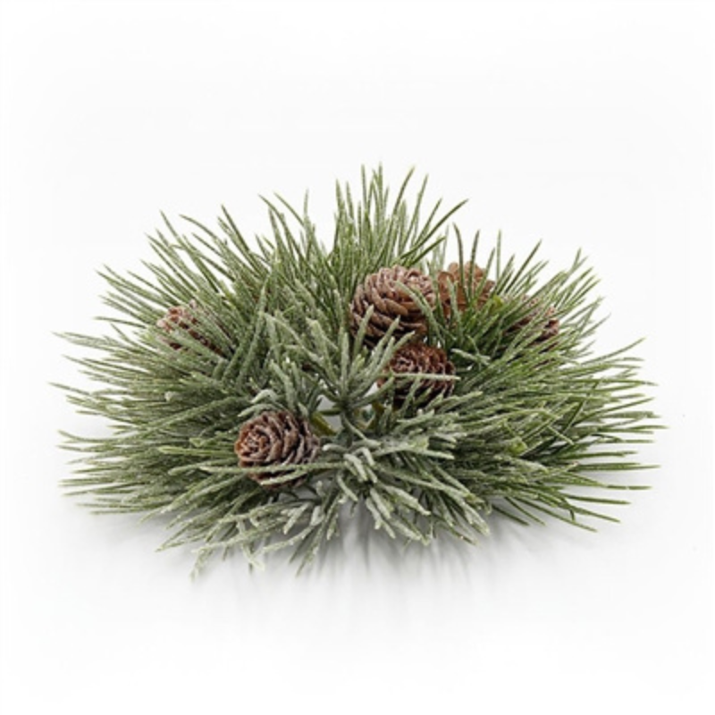 Mugo Pine Orb