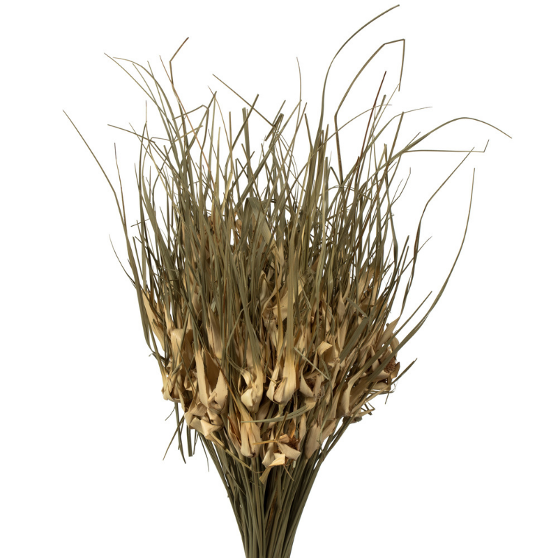 Natural Tulip Star Grass