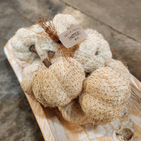 Dried Coir Pumpkin