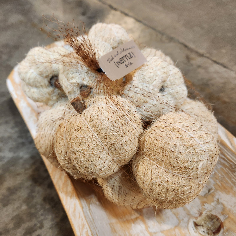 Dried Coir Pumpkin