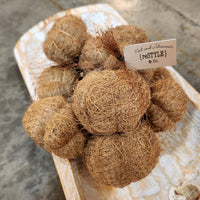 Dried Coir Pumpkin