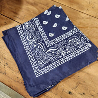 Paisley Bandana