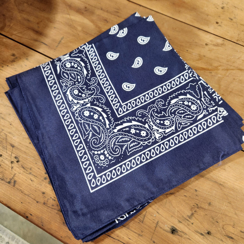 Paisley Bandana
