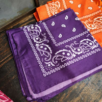 Paisley Bandana