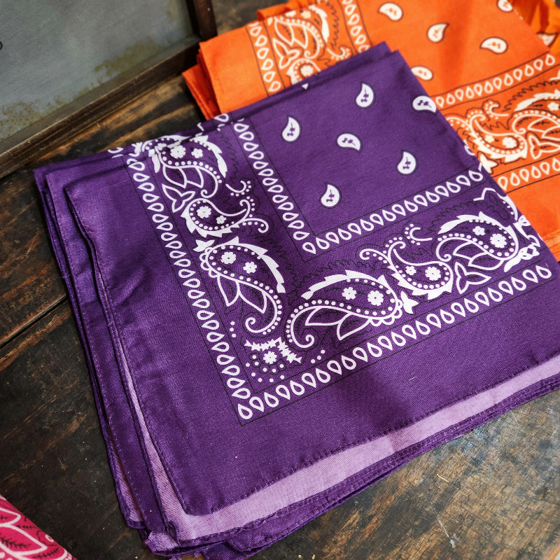 Paisley Bandana