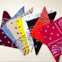 Paisley Bandana