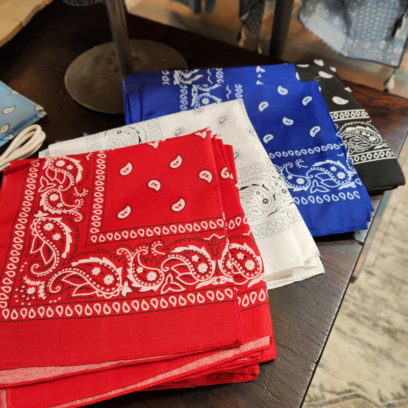 Paisley Bandana