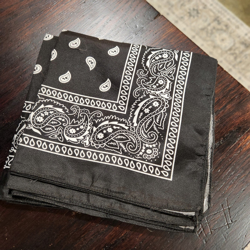 Paisley Bandana