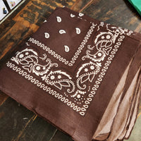 Paisley Bandana