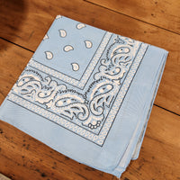 Paisley Bandana