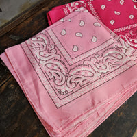 Paisley Bandana