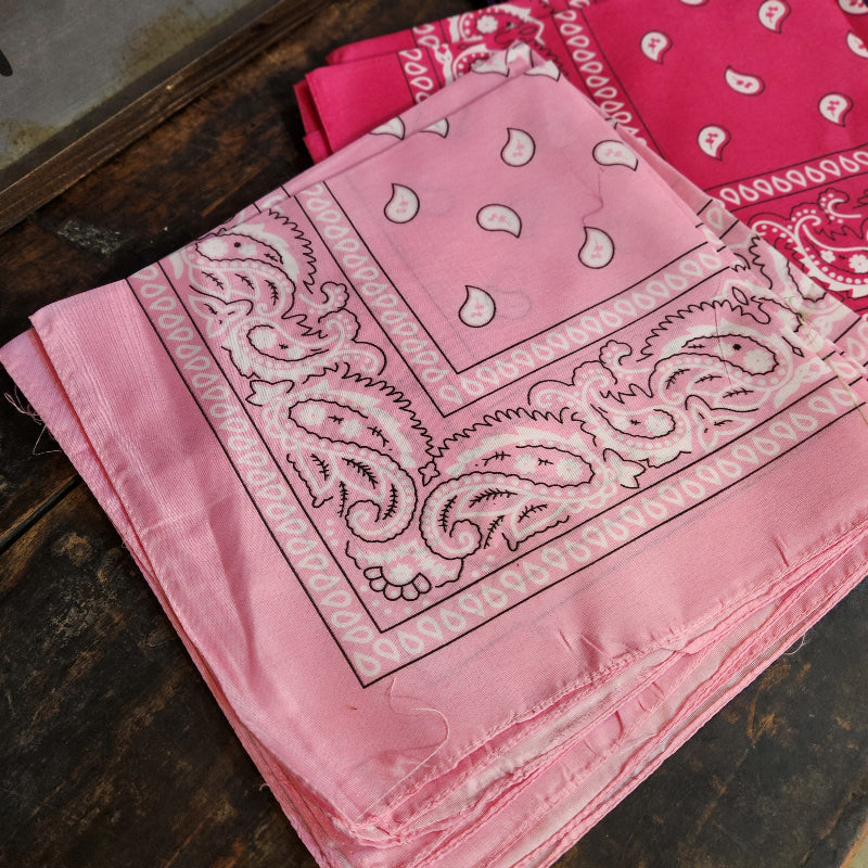 Paisley Bandana