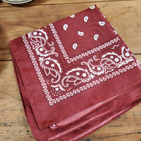 Paisley Bandana