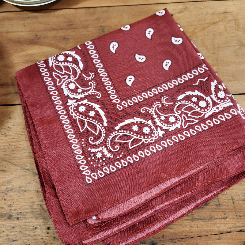 Paisley Bandana