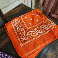 Paisley Bandana