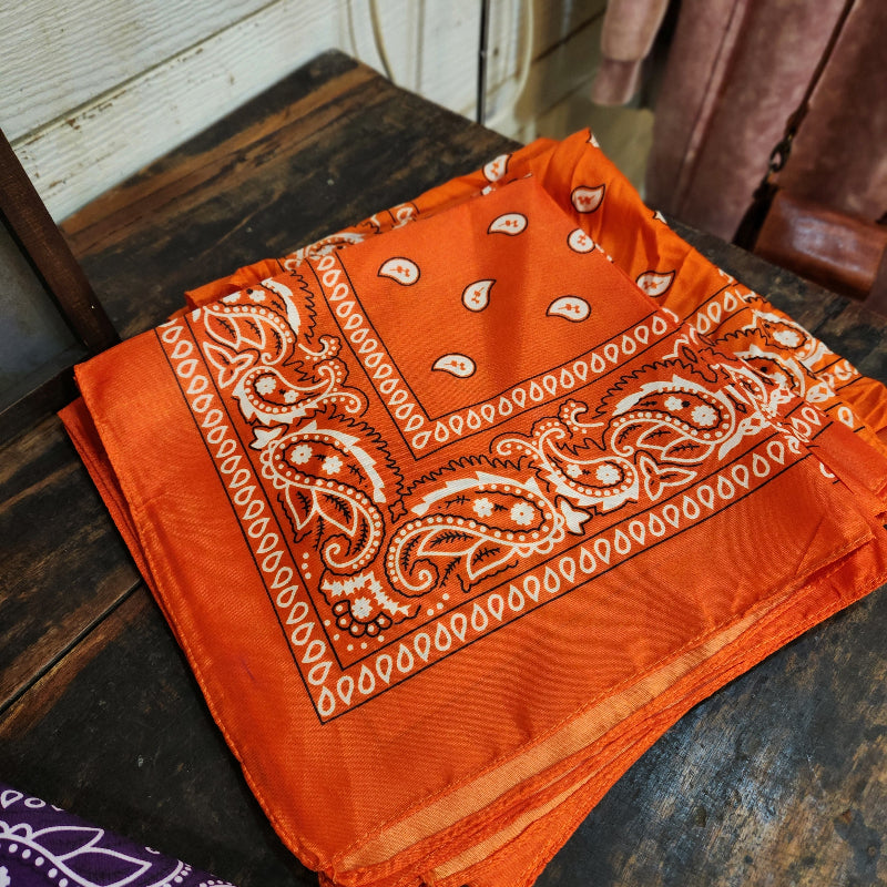 Paisley Bandana