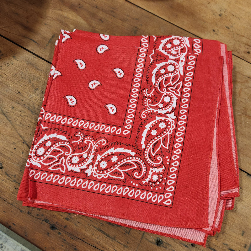 Paisley Bandana