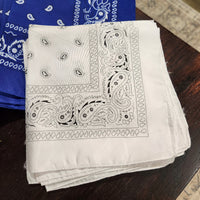 Paisley Bandana
