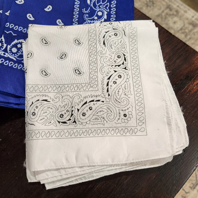 Paisley Bandana