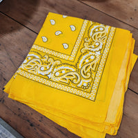 Paisley Bandana