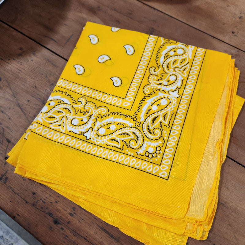 Paisley Bandana