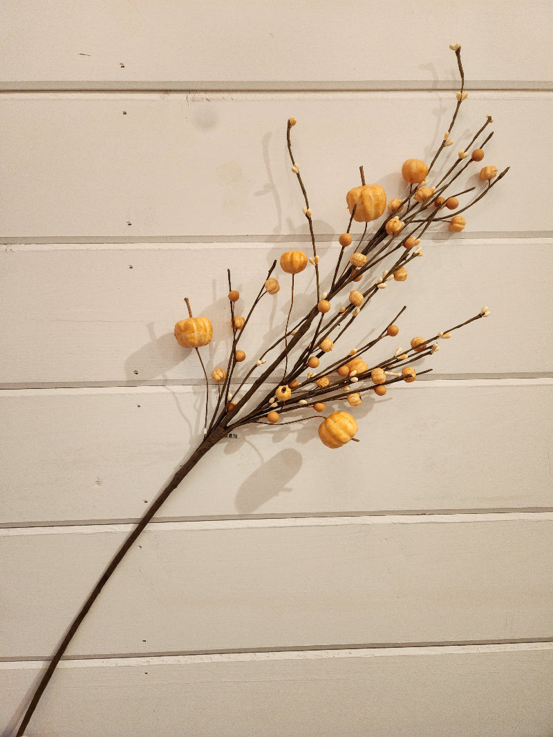 Pumpkin Berry Spray