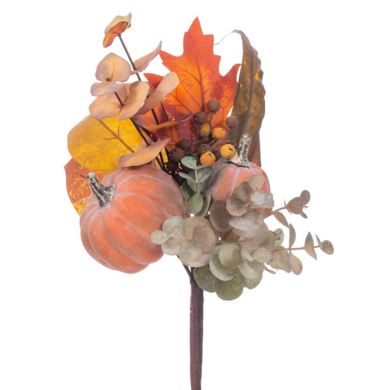 Pumpkin Eucalyptus Pick