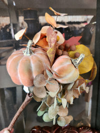 Pumpkin Eucalyptus Pick