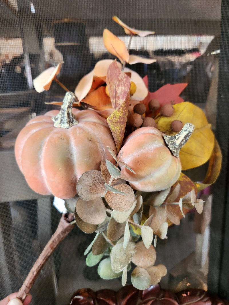 Pumpkin Eucalyptus Pick