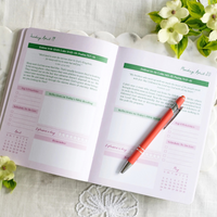 Read Through the Bible in A Year Planner: 2026 Edition