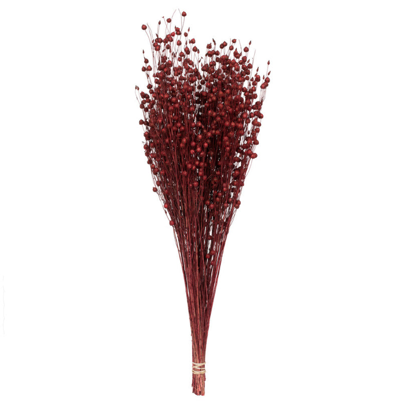 Dried Red Flax Linum