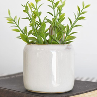 Mini Wall Planter