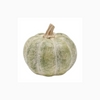 Small Green Pumpkin