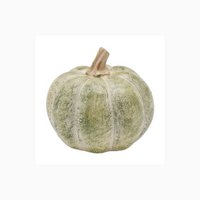Small Green Pumpkin