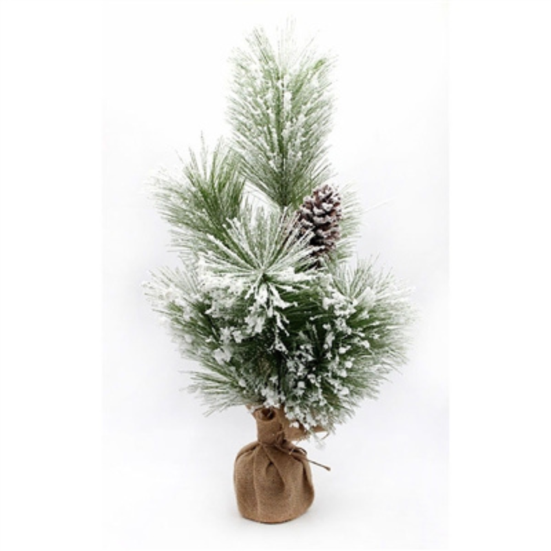 Snowy Ponderosa Pine Tree