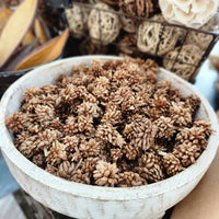 Star Flower Pod Pack