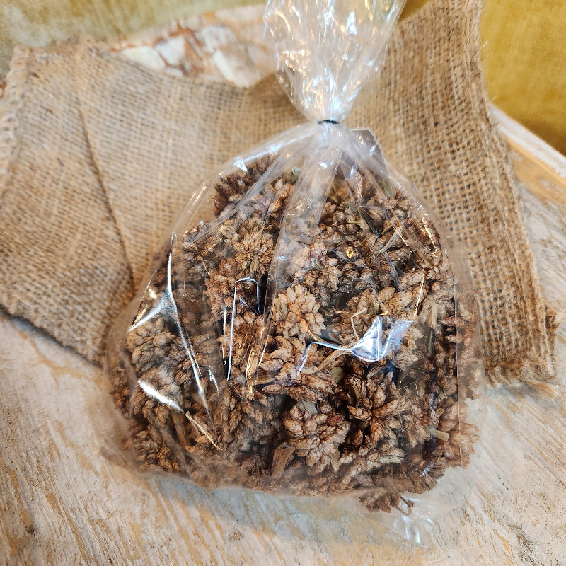 Star Flower Pod Pack