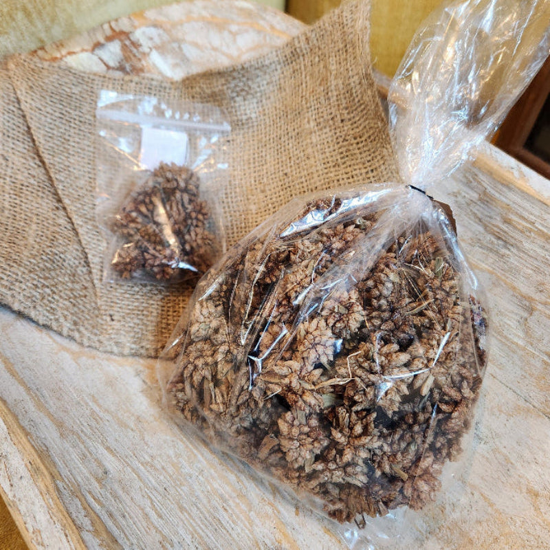Star Flower Pod Pack
