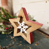 Star Snowflake