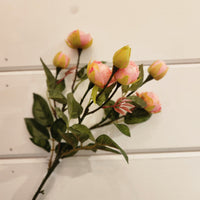 Tea Rose Spray