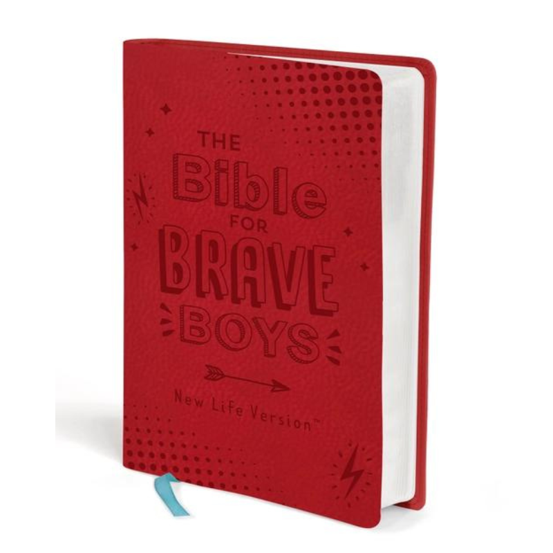 The Bible for Brave Boys NLV