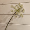 White Gypso Stem