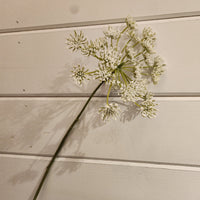 White Gypso Stem