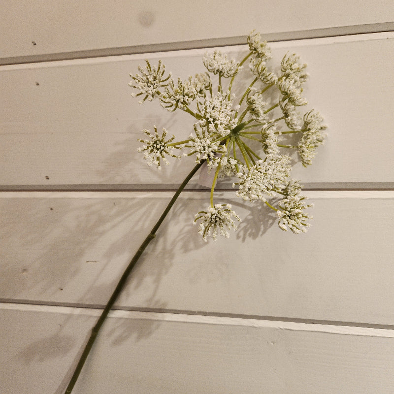 White Gypso Stem