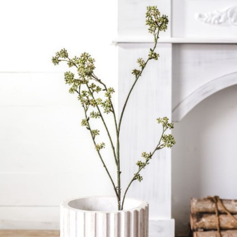 Rice Flower Stem