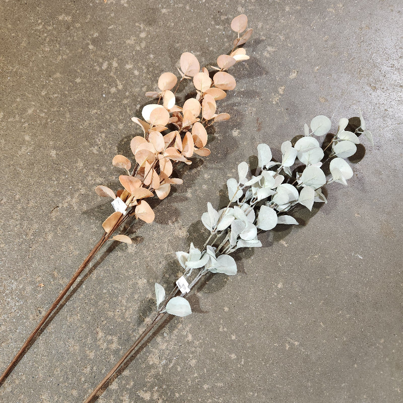 Eucalyptus Pick