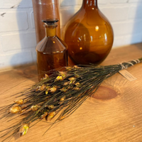 Bell Grass with Seed Pod